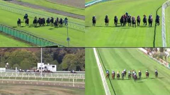 View video › View video ›