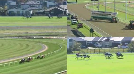 View video › View video ›