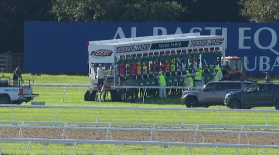 View video › View video ›