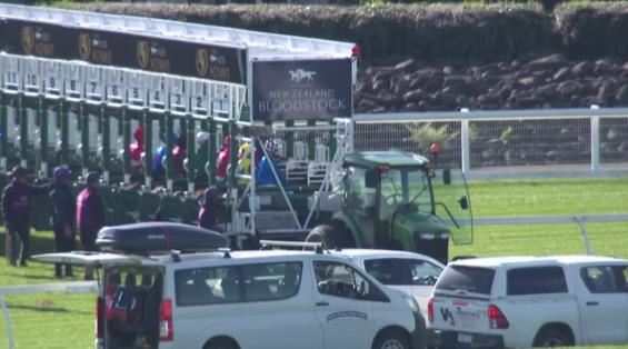 View video › View video ›