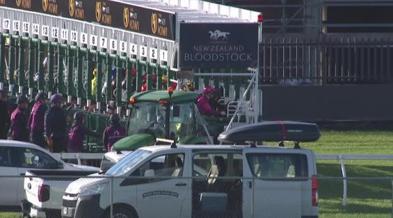 View video › View video ›