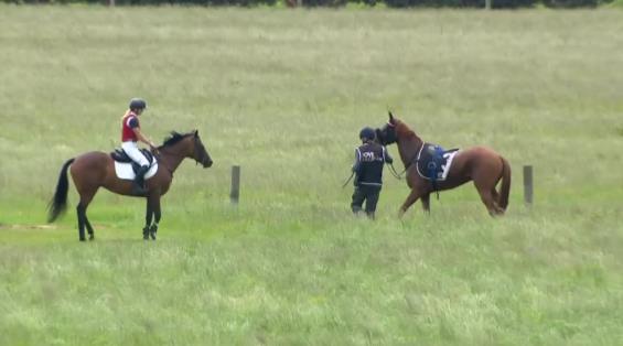 View video › View video ›