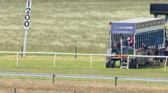 View video › View video ›