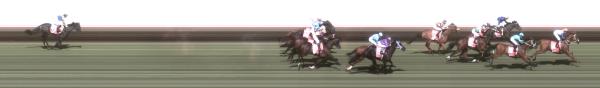 Photo finish
